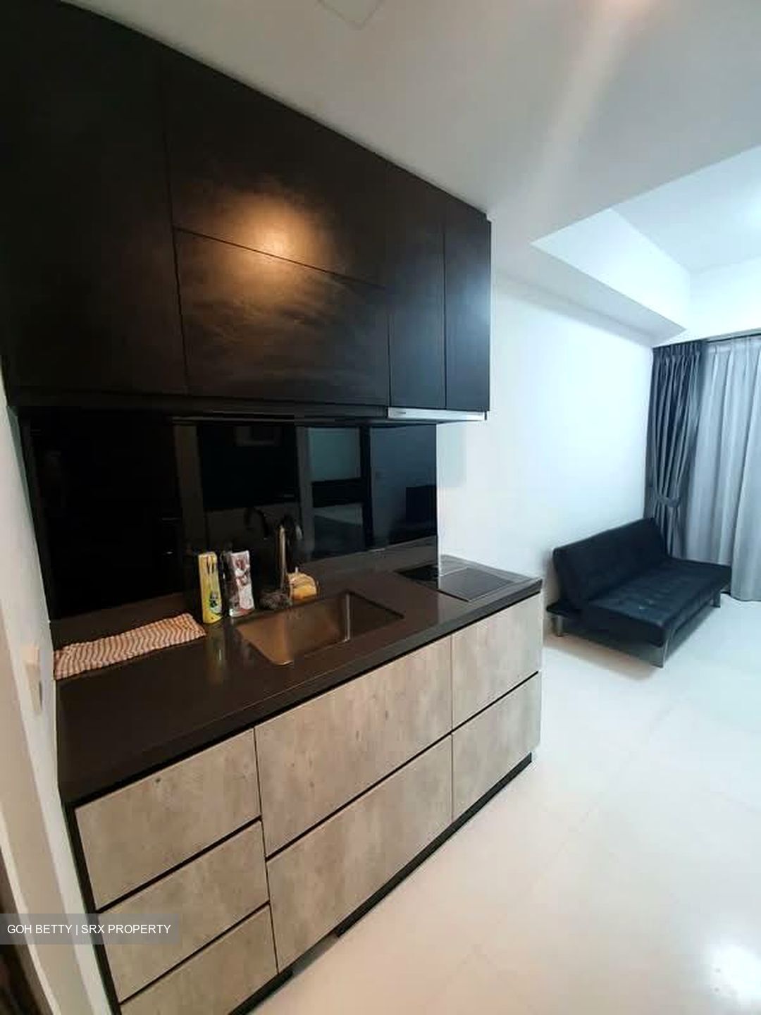 The Rise @ Oxley (D9), Condominium #551634691